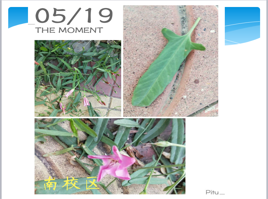 2018.5.27-1.png