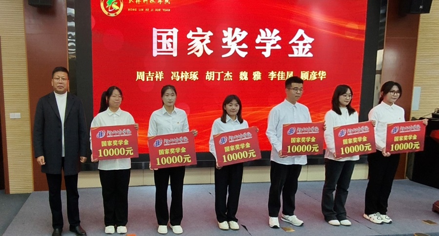 1762242221687174.jpg 1.jpg