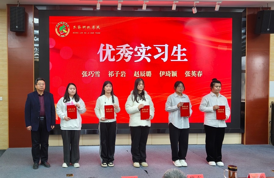 1762242290126156.jpg 2.jpg