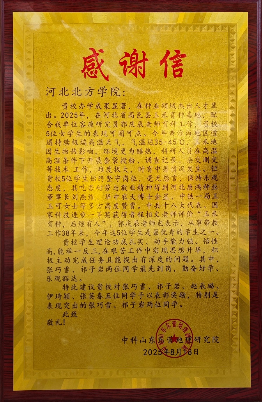 1762242326628393.jpg 3.jpg