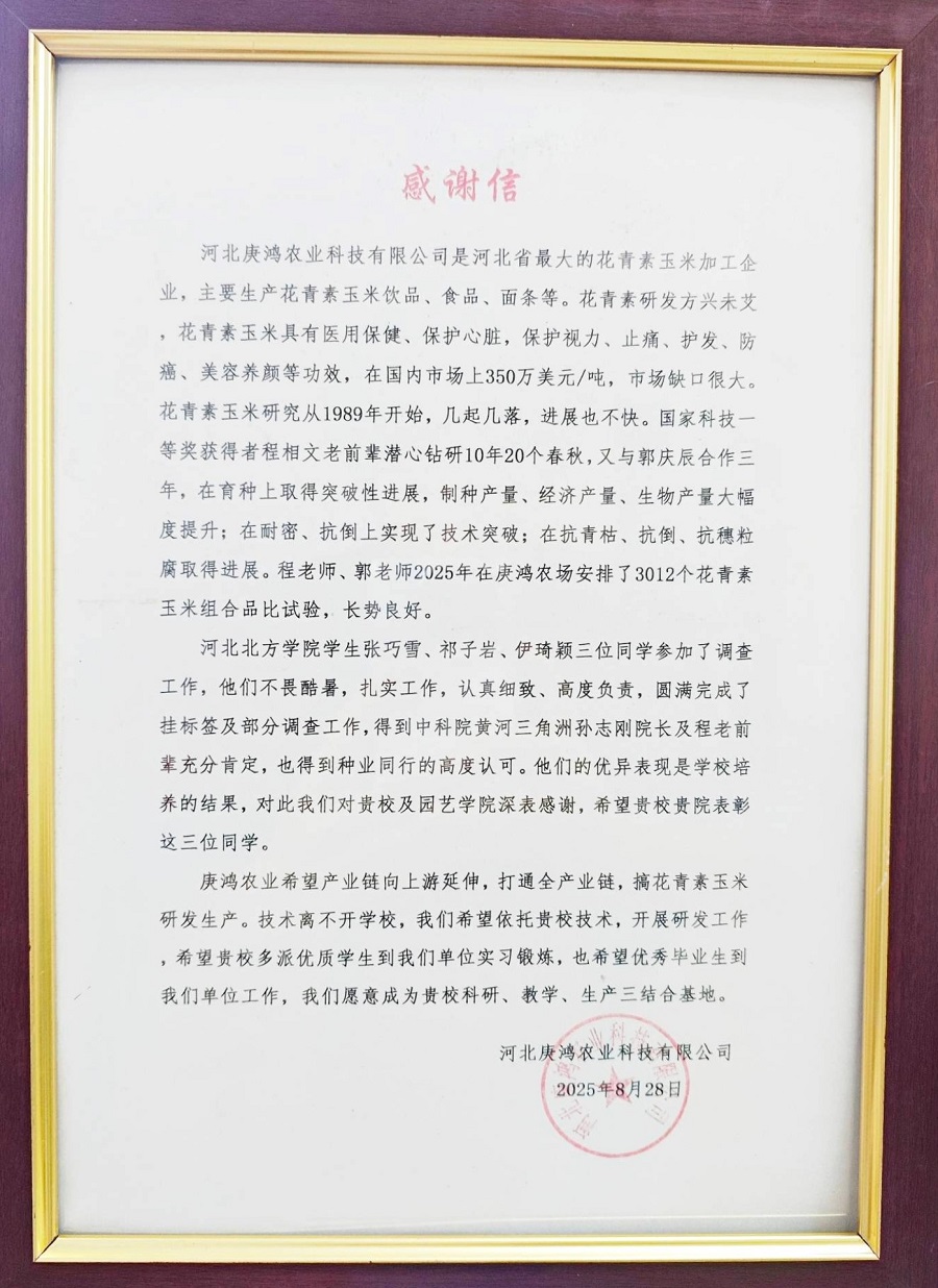 1762242346616086.jpg 4.jpg