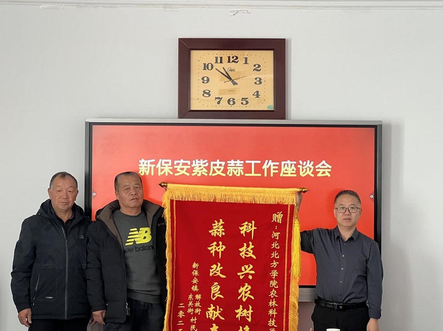 1764586903150955.jpg 2.jpg