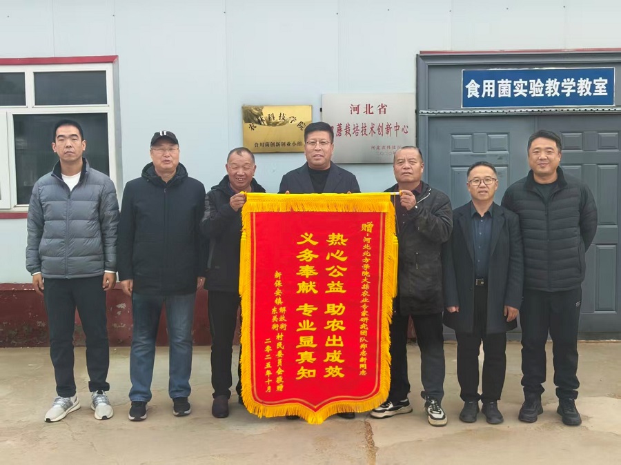 1764586914535702.jpg 3.jpg