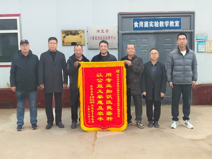 1764586945132537.jpg 4.jpg