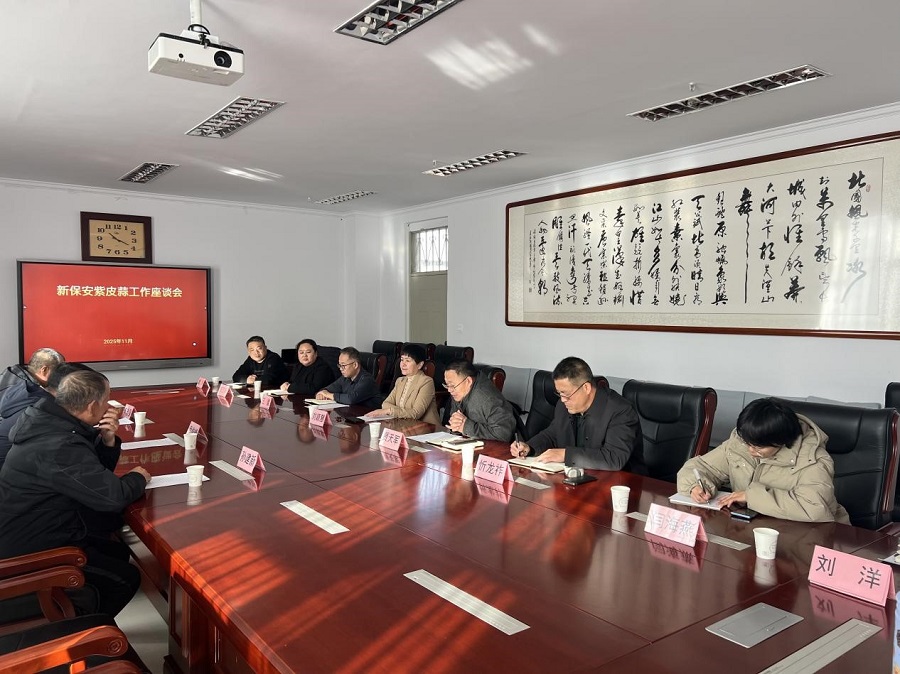 1764586955659246.jpg 5.jpg